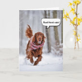 誕生日アイリッシュセ走ッター雪の中 カード (黄色い花)