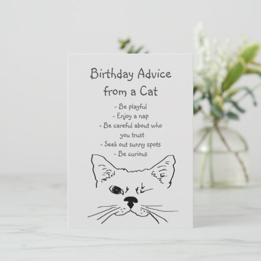 誕生日アドバイスウィンキング猫おもしろい動物ユーモア (スタンド正面)