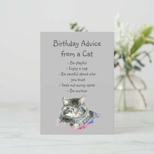 誕生日アドバイス猫おもしろいユーモア (スタンド正面)