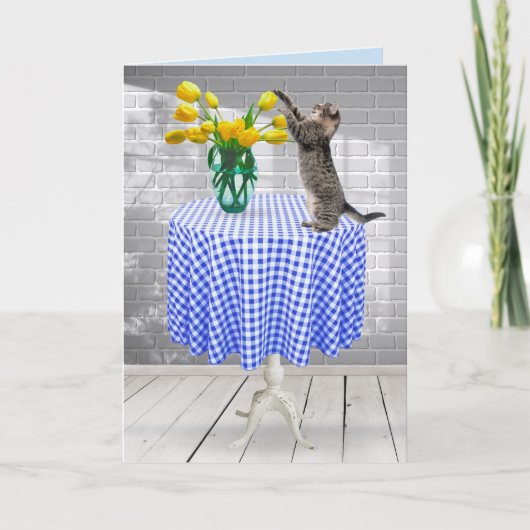 誕生日イエローチューリップ猫 カード (正面)