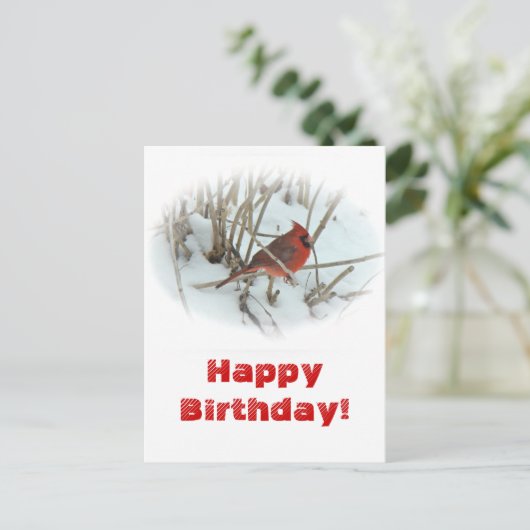 誕生日イースタン（鳥）ショウジョウコウカンチョウソンバードハガキ ポストカード (スタンド正面)