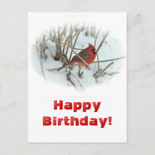 誕生日イースタン(鳥)ショウジョウコウカンチョウソンバードハガキ ポストカード