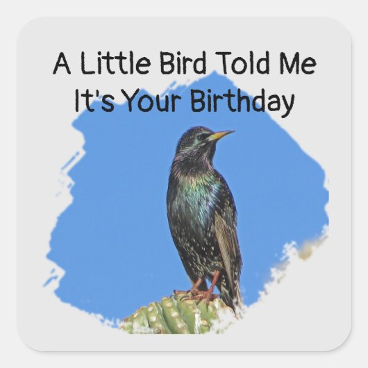 誕生日ウィズユーモアのあるスターリング封筒用シール スクエアシール (正面)