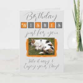 誕生日ウィッシュcat photo gray orange カード