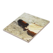 誕生日ウーリーベアキャタピラー タイル (側面)