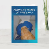 誕生日カおもしろいードの犬がパーティション過剰 カード (正面)