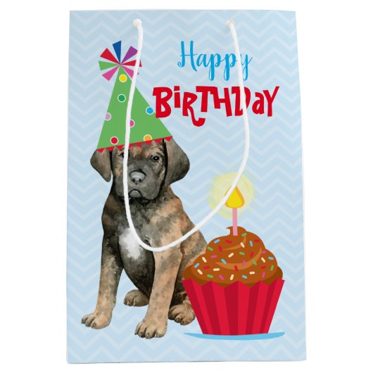 誕生日カップケーキキングルソミディアム抱き枕 ミディアムペーパーバッグ (正面)