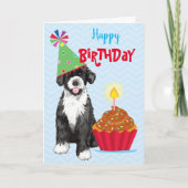 誕生日カップケーキポルトガルの水犬カード カード (正面)