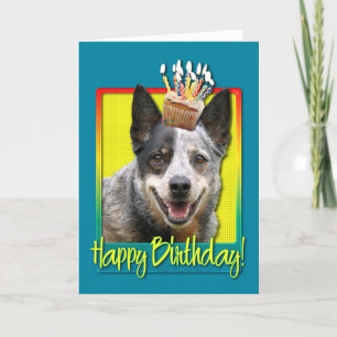 誕生日カップケーキ – オーストラリア牛の犬 カード