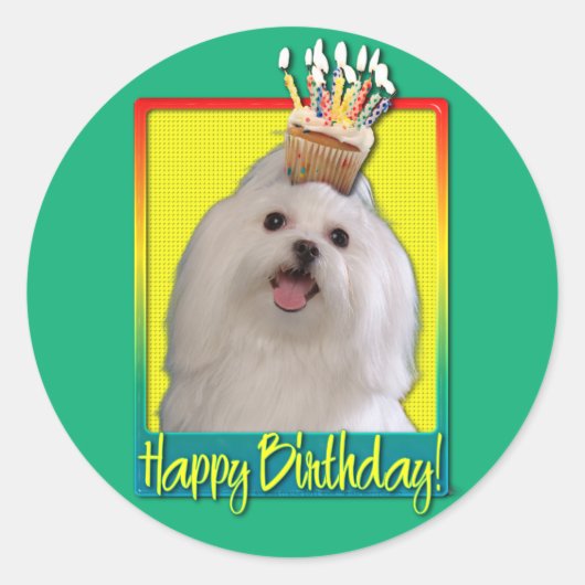 誕生日カップケーキ – マルチーズ ラウンドシール (正面)