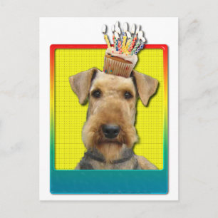 誕生日カップケーキ – Airedale ポストカード