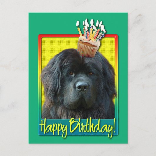誕生日カップケーキ – Newfoundland ポストカード (正面)