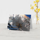 誕生日カロシアのード(さくらんぼフラワー付) カード (黄色い花)