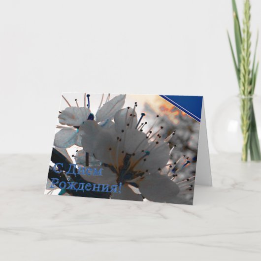 誕生日カロシアのード(さくらんぼフラワー付) カード (正面)