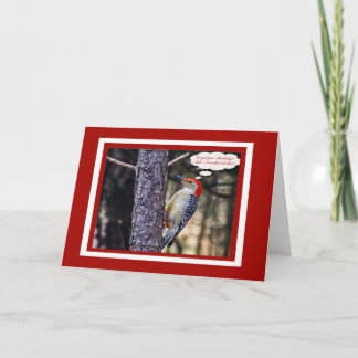 誕生日カードおもしろい付きレッドベリーウッドペッカー カード