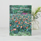 誕生日カードお母さん！ (スタンド正面)