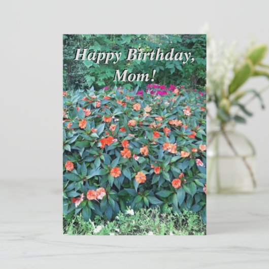 誕生日カードお母さん！ (スタンド正面)