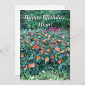 誕生日カードお母さん！ (正面/裏面)