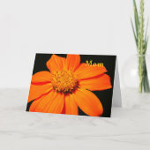 誕生日カードお母さん、大きなオレンジ色の花 カード (正面)