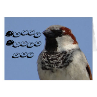 誕生日カードかわいい小鳥