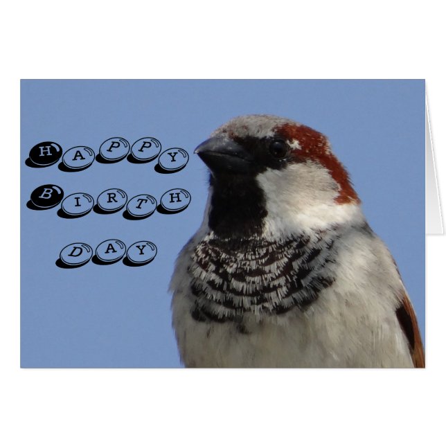 誕生日カードかわいい小鳥 (正面横)
