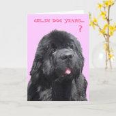 誕生日カードとNewfy カード (黄色い花)