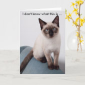 誕生日カードに猫をおもしろい見る不機嫌 カード (黄色い花)