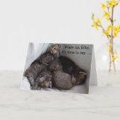 誕生日カードのおもしろい子猫4 カード (黄色い花)