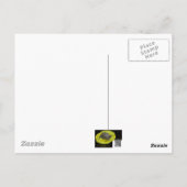 誕生日カードイースタンチップムンク ポストカード (裏面)