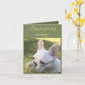 誕生日カードウィッシングブルドッフランスのグダンデリオン カード (黄色い花)