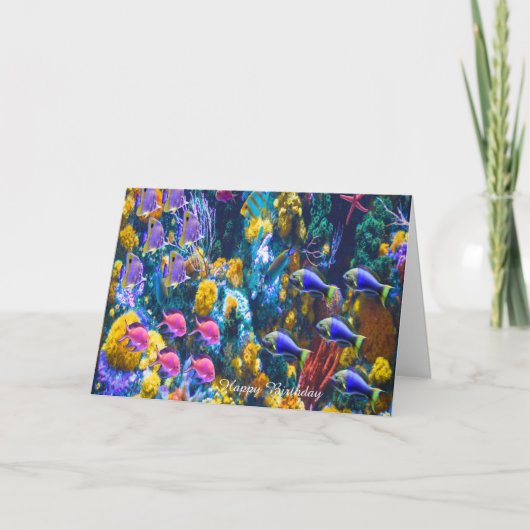 誕生日カードトロピカルフィッシュ カード (正面)