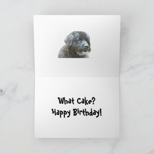 誕生日カードニューファンドランド犬のユーモア カード (内部)