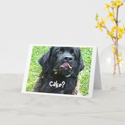 誕生日カードニューファンドランド犬のユーモア カード (黄色い花)