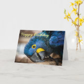 誕生日カードヒアシントマカオパロット カード (黄色い花)