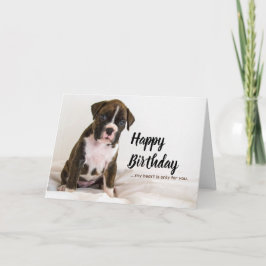 誕生日カード犬 – Boxer Dogs, Brindle Puppy カード