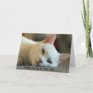 誕生日カード猫と:ケーキを取りに起こせ! カード