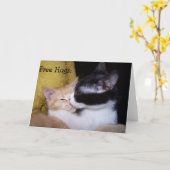 誕生日カード: かわいい子猫たちからの無料ハグ! カード (黄色い花)