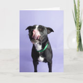 誕生日カード カード (正面)