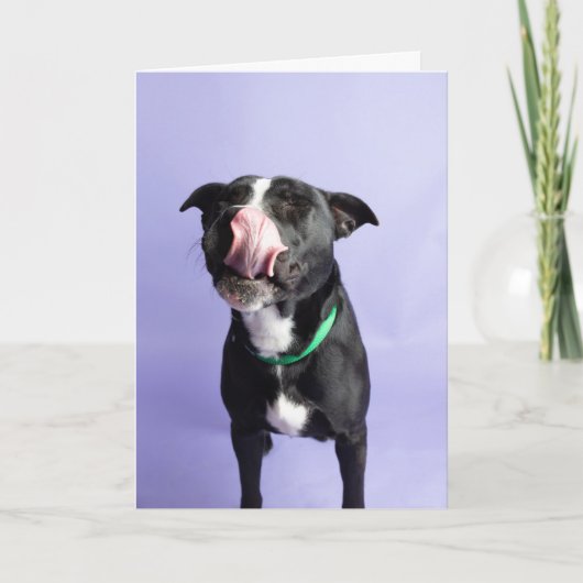 誕生日カード カード (正面)