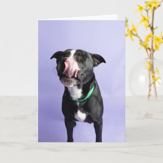 誕生日カード カード (黄色い花)