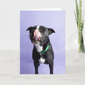 誕生日カード カード