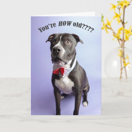 誕生日カード カード (黄色い花)