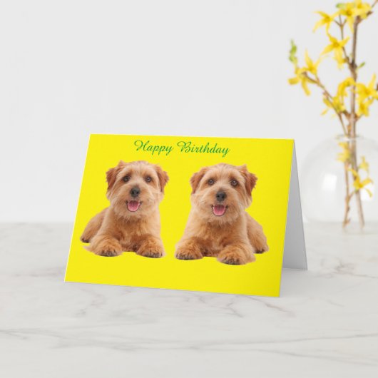 誕生日カード カード (黄色い花)