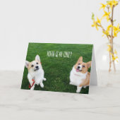 誕生日カード カード (黄色い花)