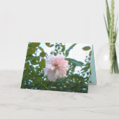 誕生日カード カード (裏面)