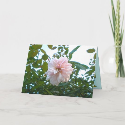 誕生日カード カード (裏面)