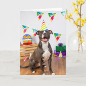 誕生日カード カード (黄色い花)