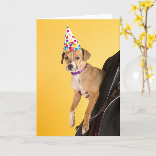 誕生日カード カード (黄色い花)