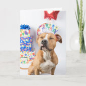 誕生日カード カード (正面)