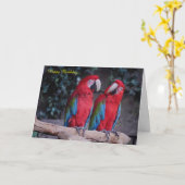 誕生日カード カード (黄色い花)